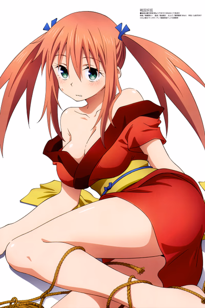 Sengoku Youko Cover