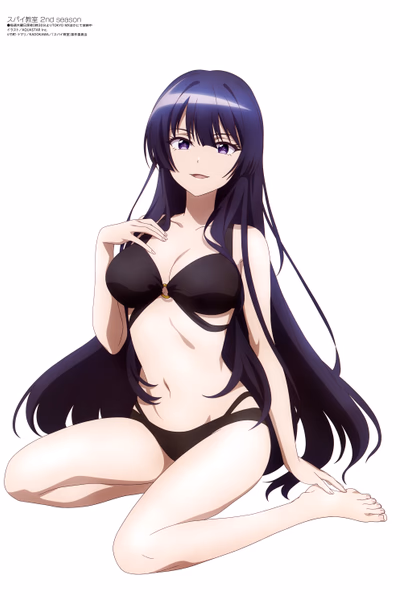 Spy Kyoushitsu Banner