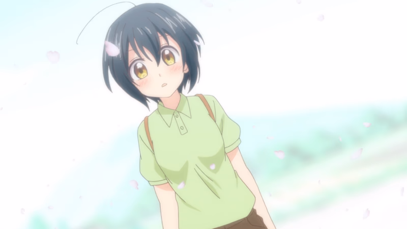 Hier, im Tachibanakan