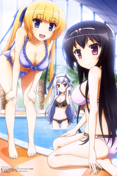 Wagamama High Spec Cover