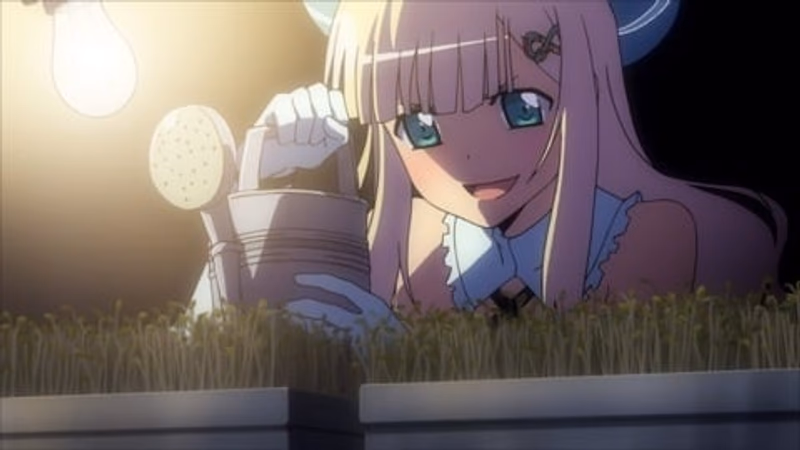 Verknüpfte Shinobi-Barriere
