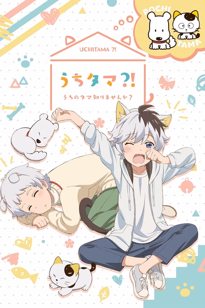 Uchi Tama?! Uchi no Tama Shirimasen ka? Cover