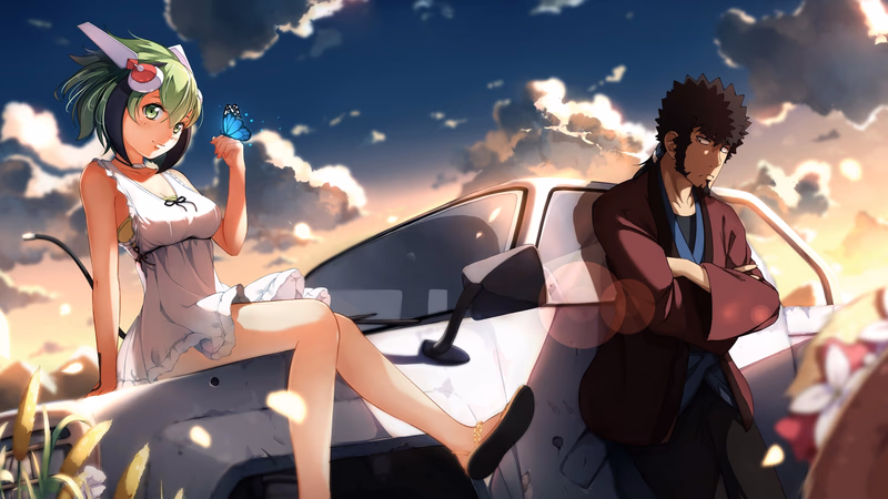 Dimension W Banner