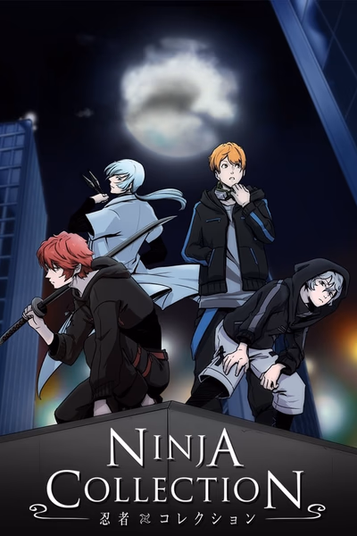 Ninja Collection Cover