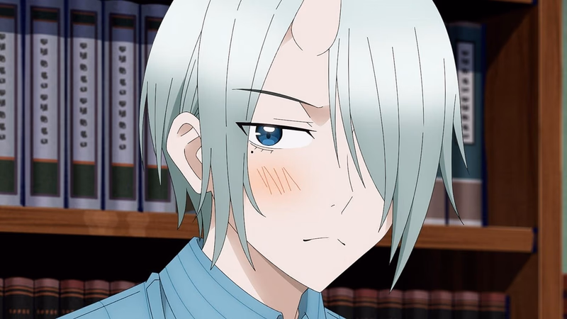 Hilfe, Seimei! Die Entführung der Tier-Yōkai!!