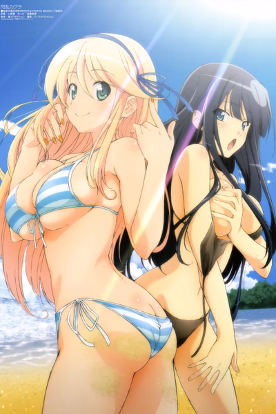 Senran Kagura Banner