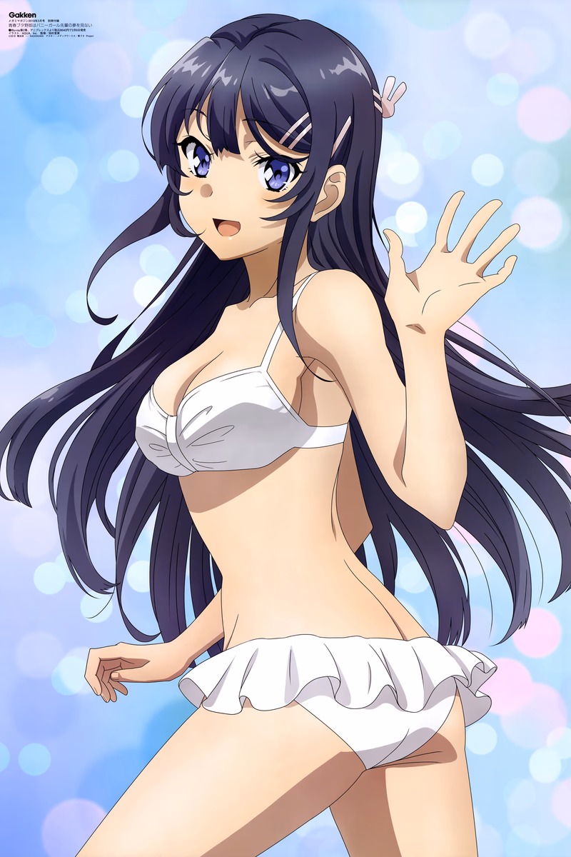 Seishun Buta Yarou wa Bunny Girl Senpai no Yume o Minai Cover