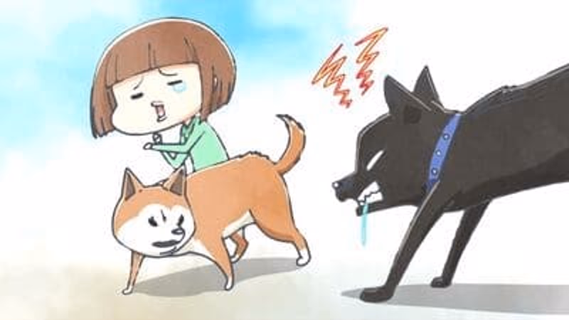 Episode 11