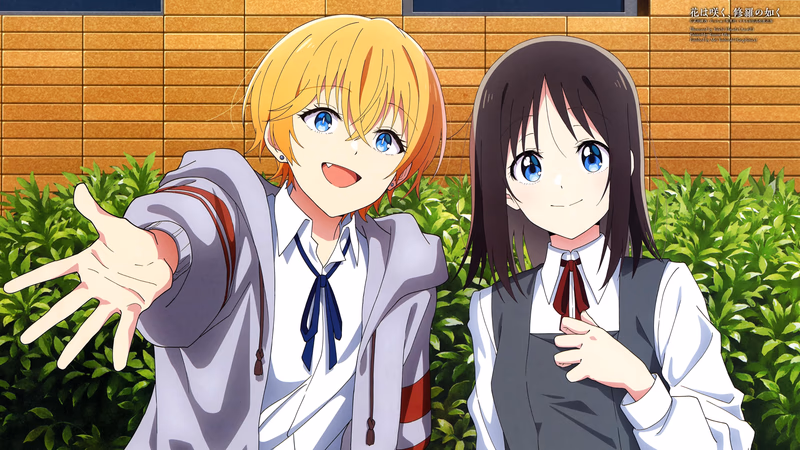 Hana wa Saku, Shura no gotoku Banner