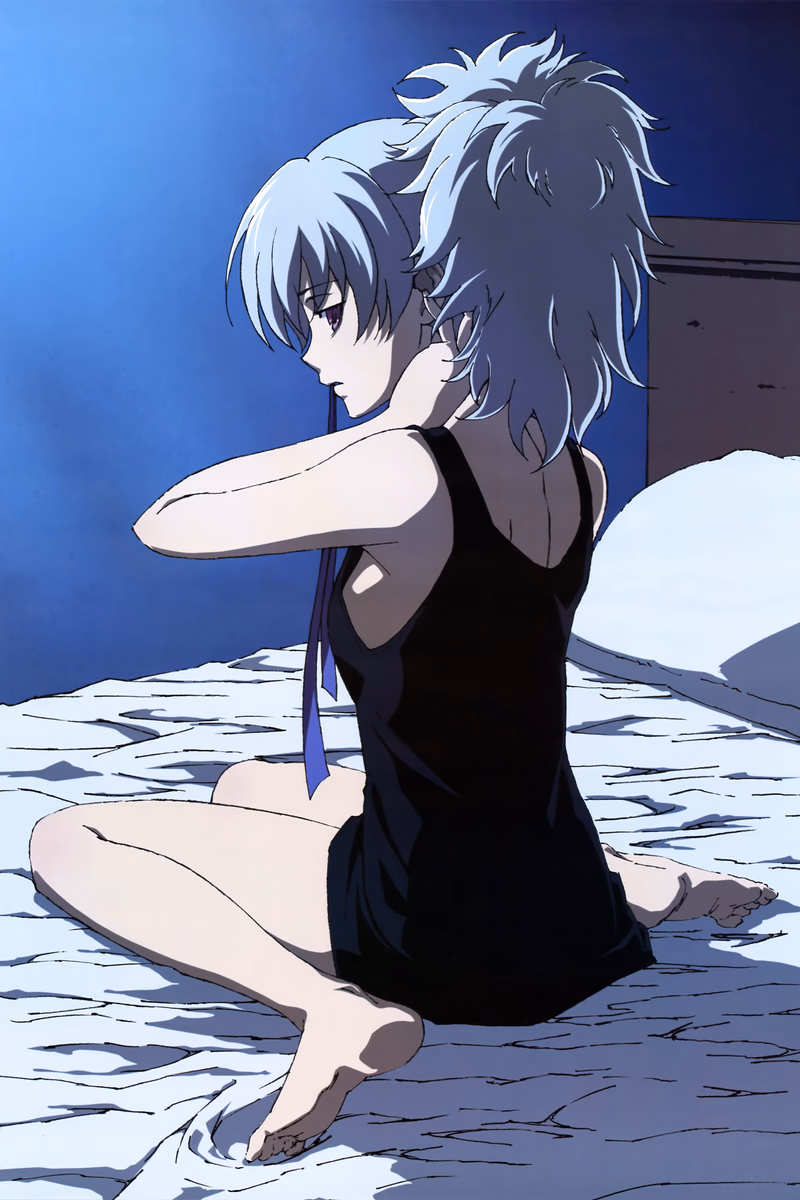 Darker than Black: Kuro no Keiyakusha