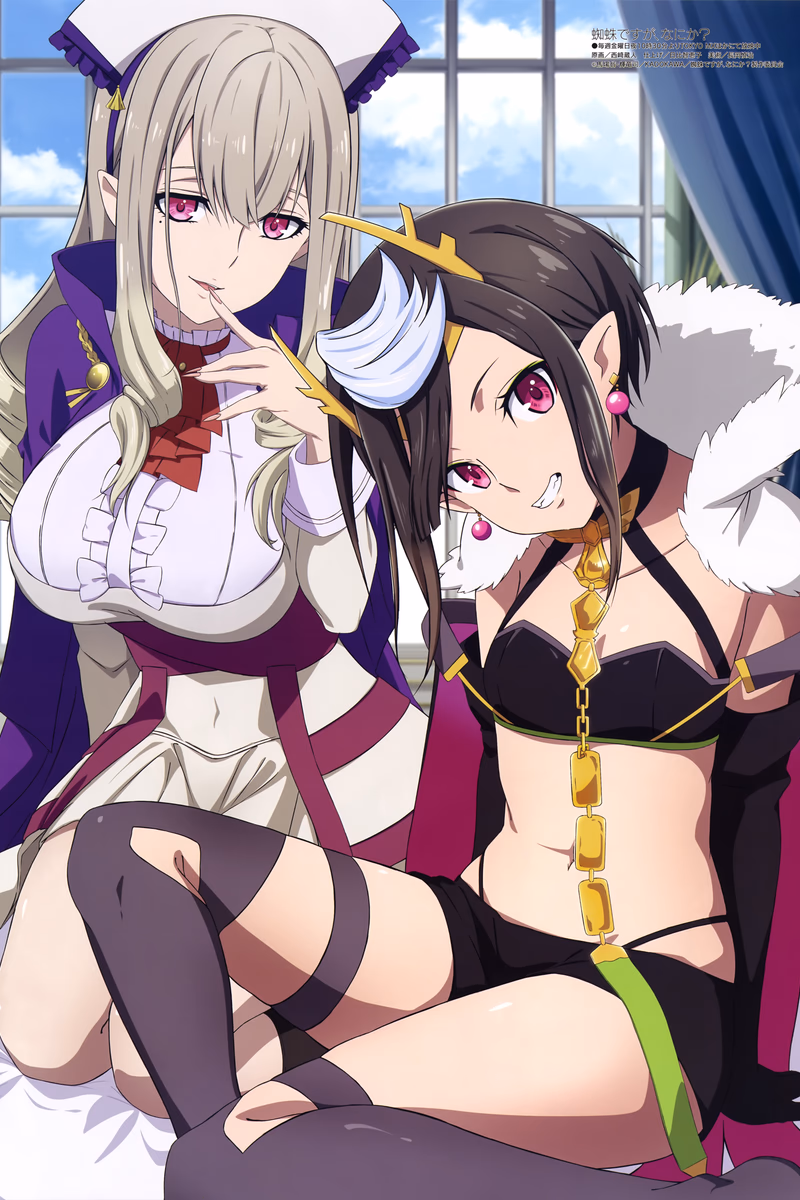Kumo desu ga, Nani ka?