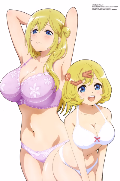 Futoku no Guild Banner