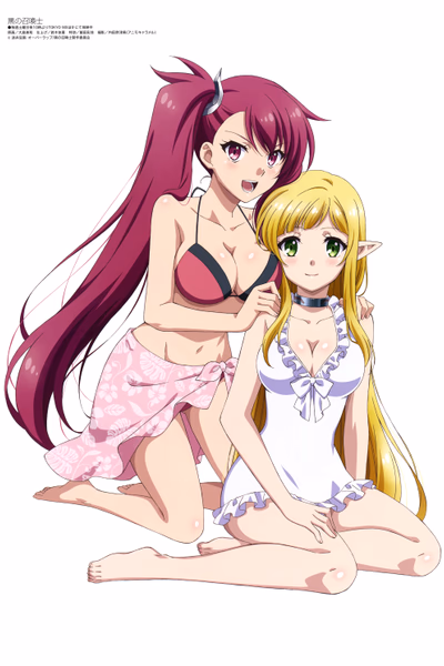Kuro no Shoukanshi Banner