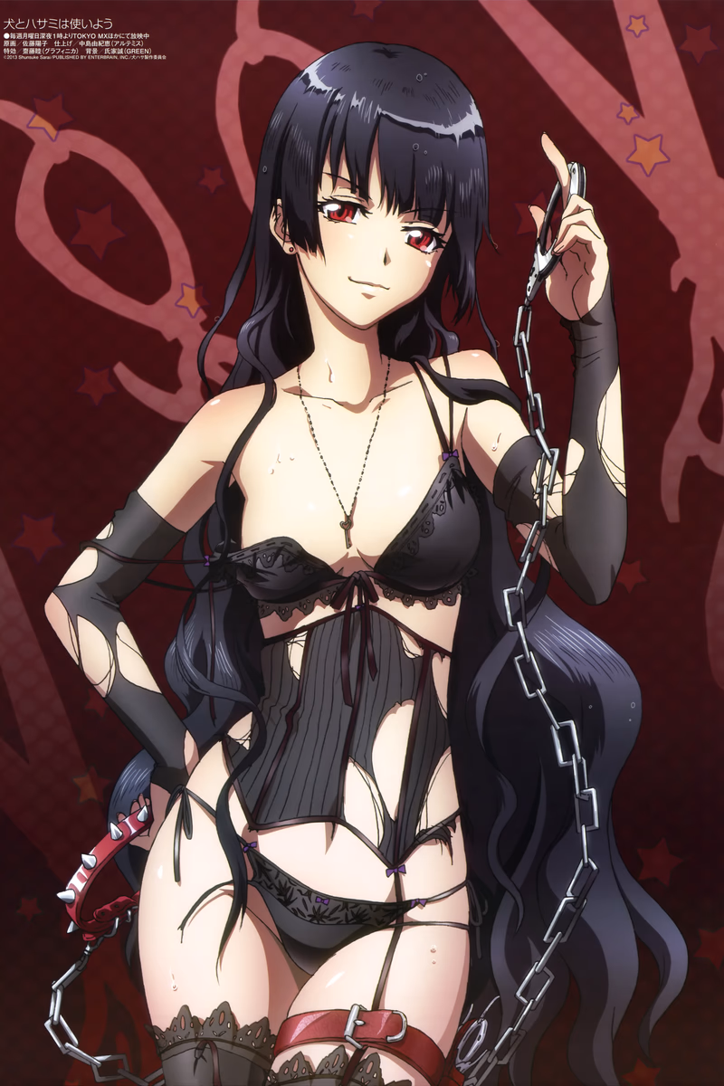 Inu to Hasami wa Tsukaiyou