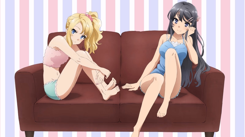 Seishun Buta Yarou wa Bunny Girl Senpai no Yume o Minai Banner