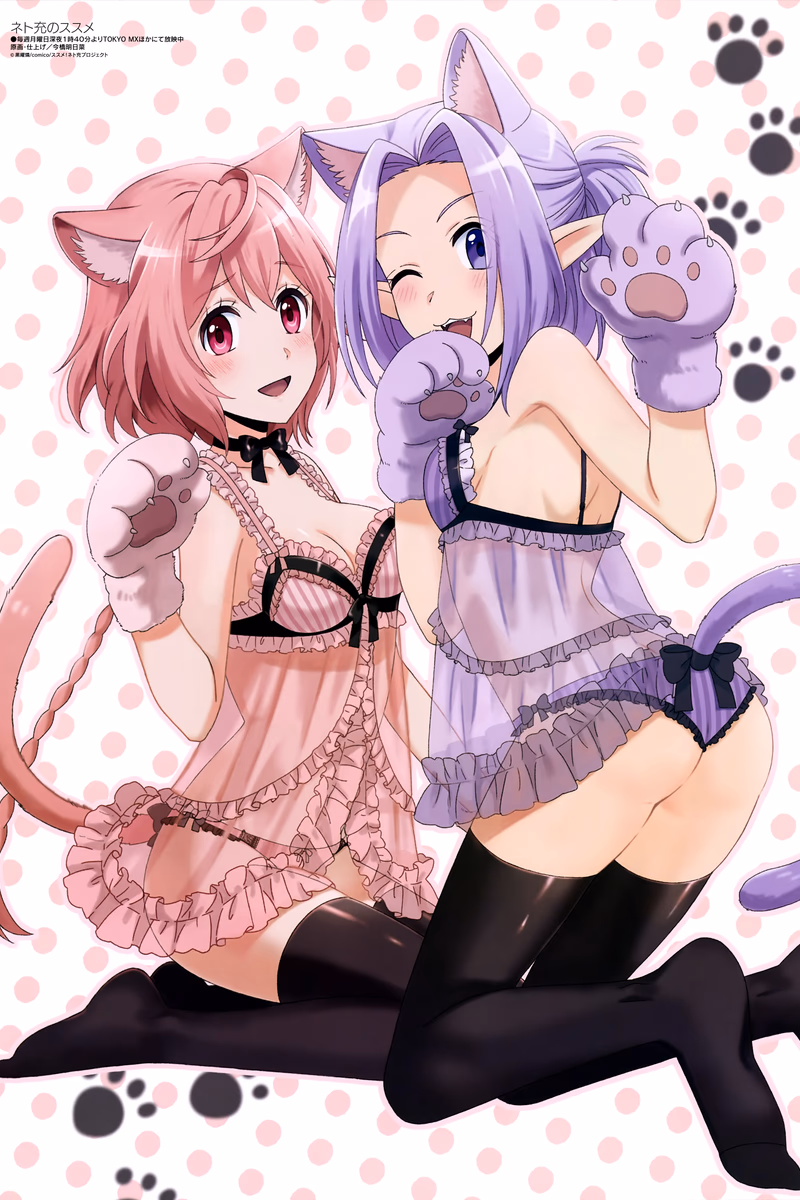 Netojuu no Susume