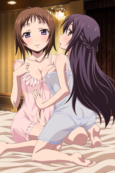 Okusama ga Seitokaichou! Cover