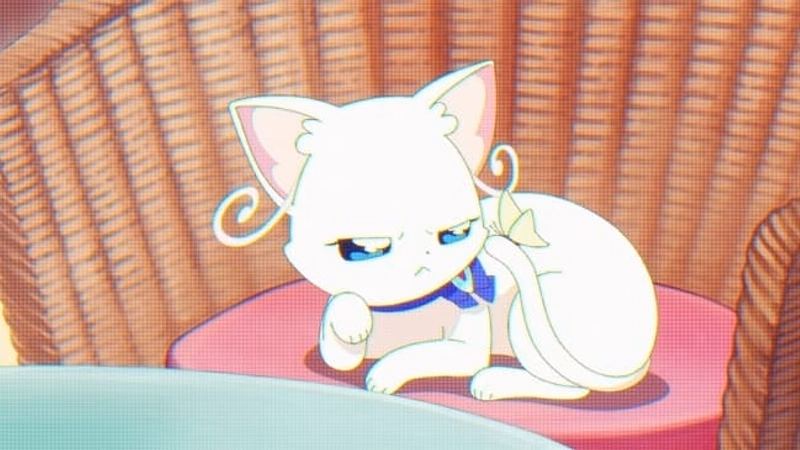Miaufluencer Mayu