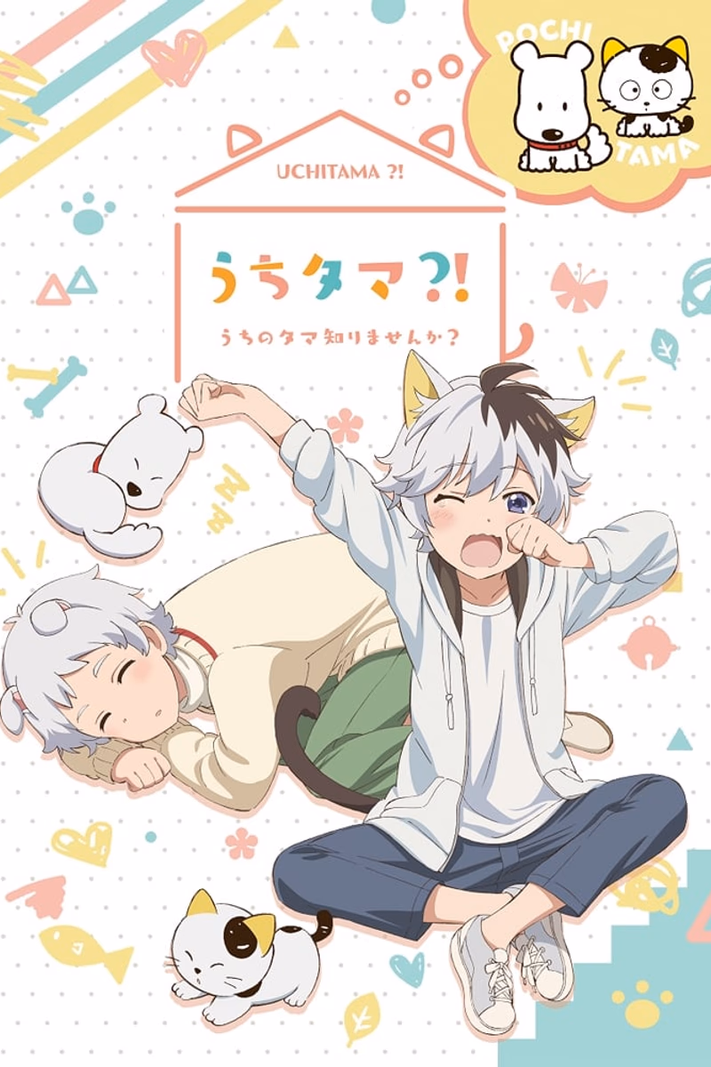 Uchi Tama?! Uchi no Tama Shirimasen ka? Cover