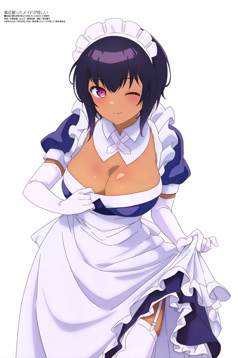Saikin Yatotta Maid ga Ayashii