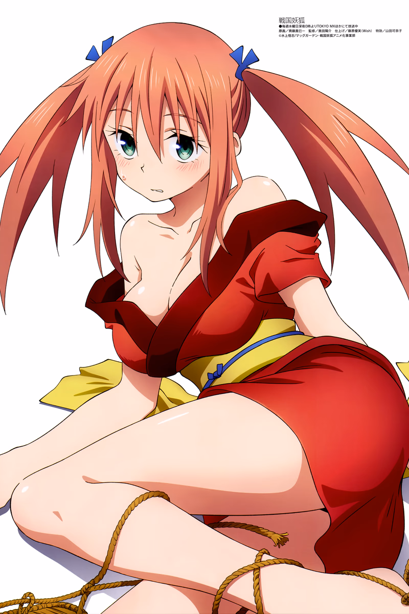 Sengoku Youko